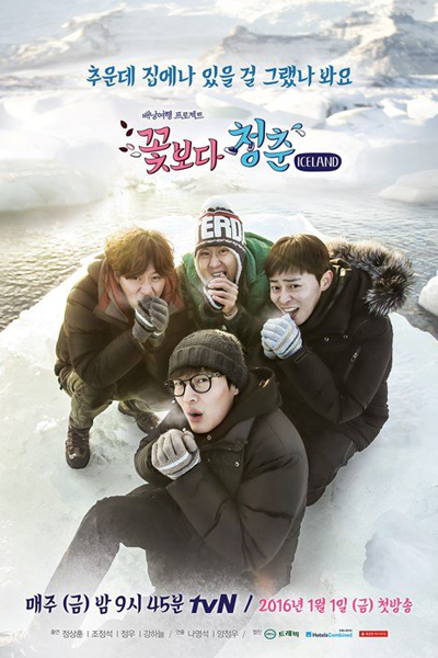 Youth Over Flowers: Iceland (2016)