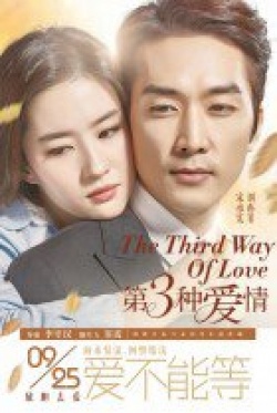 The Third Way of Love 2015 Movie Poster