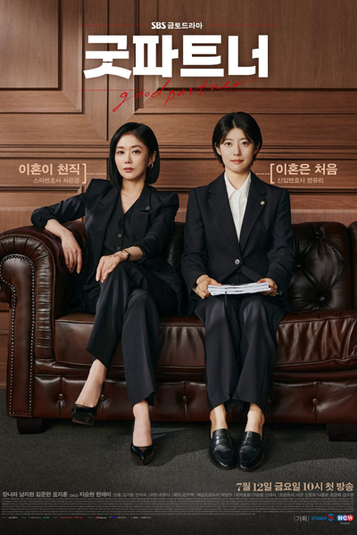 Streaming Good Partner (2024)