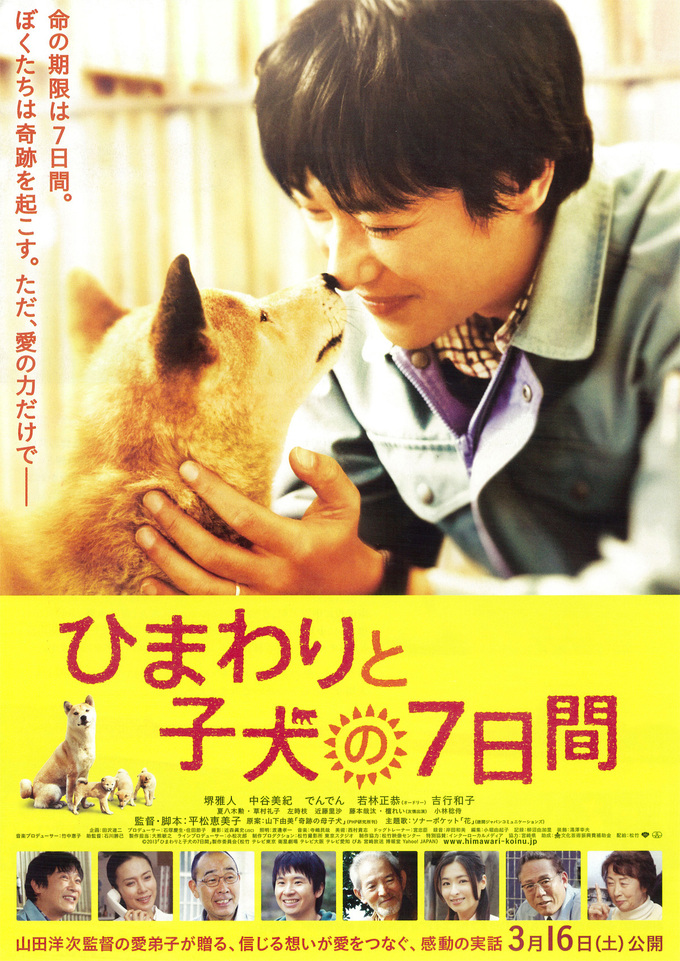 7 Days of Himawari & Her Puppies (2013) Episode 1