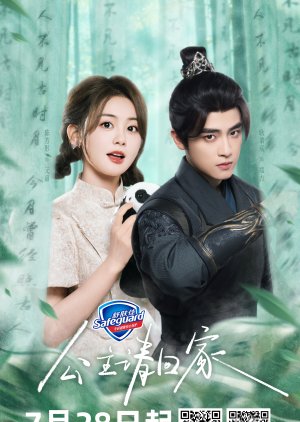 Bring the Princess Home (2024) Episode 20