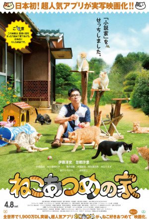 Cat Collection's House (Neko Atsume House)