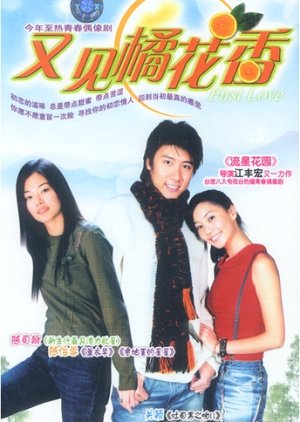 Streaming First Love (2003)