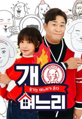 Funny Daughter in Law Episode 8
