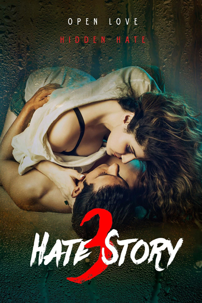 Hate Story 3  2015 