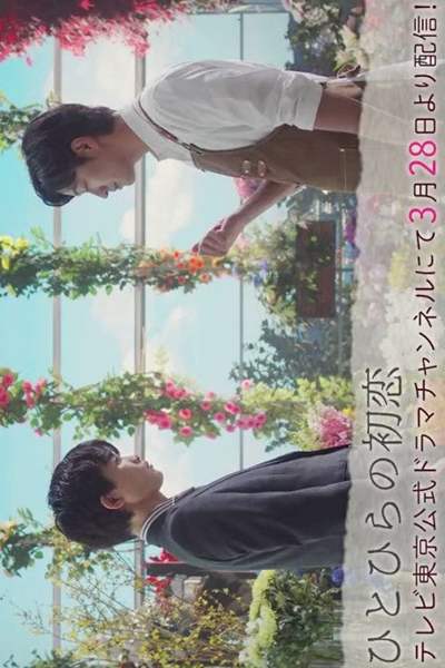 Streaming Hitohira no Hatsukoi (2023)