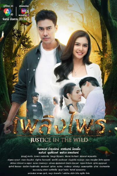 Streaming Justice in the Wild (2023)