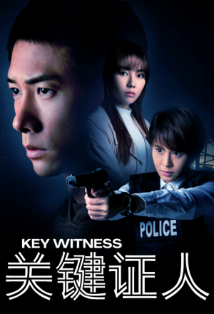 Streaming Key Witness (2021)