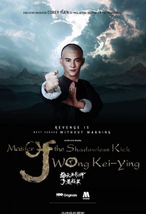Master Of The Shadowless Kick Wong Kei Ying