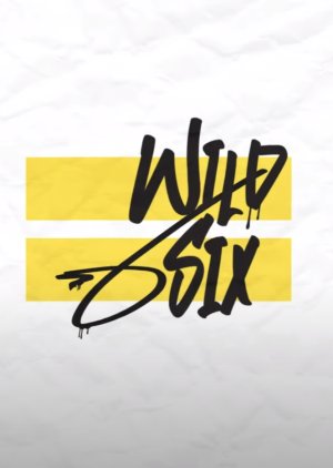 Over 2PM - Wild Six