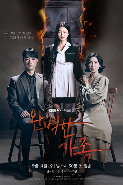 Perfect Family (2024) Episode 12