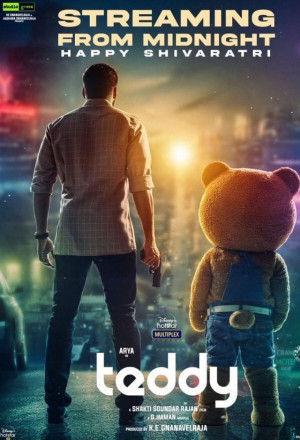 Streaming Teddy (2021)