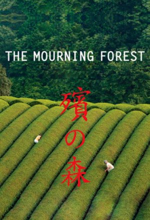 Streaming The Mourning Forest