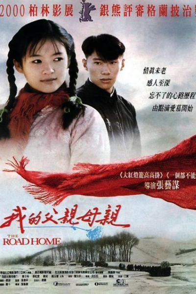Streaming The Road Home (1999)