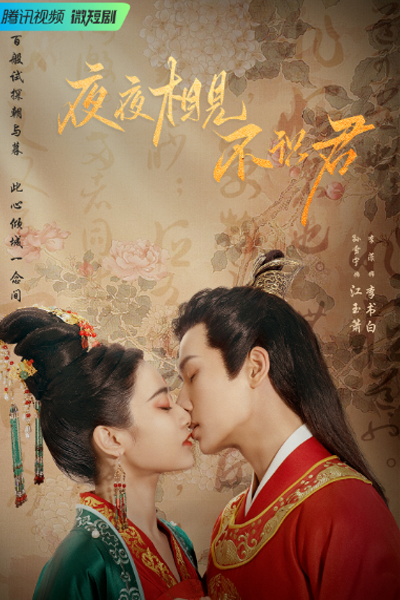 Streaming Ye Ye Xiang Jian Bu Shi Jun (2023)